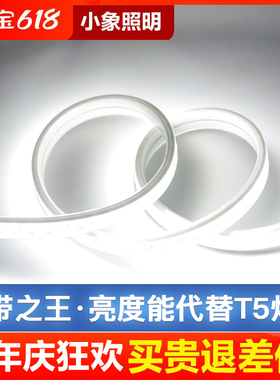 超高亮110V灯带led双排长条白光家用天花客厅吊顶户外防水软灯条