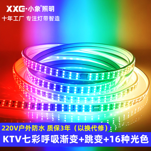 灯带led三色客厅吊顶霓虹家用遥控七彩变色户外超亮防水灯条220V