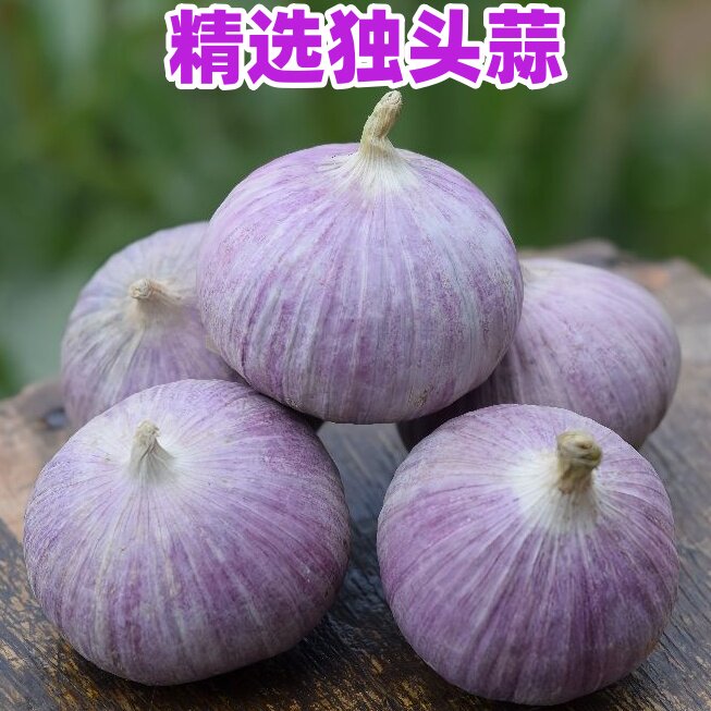 2026新鲜紫皮独头蒜农家香辣独头蒜辣独头小独头正宗独头蒜独子蒜