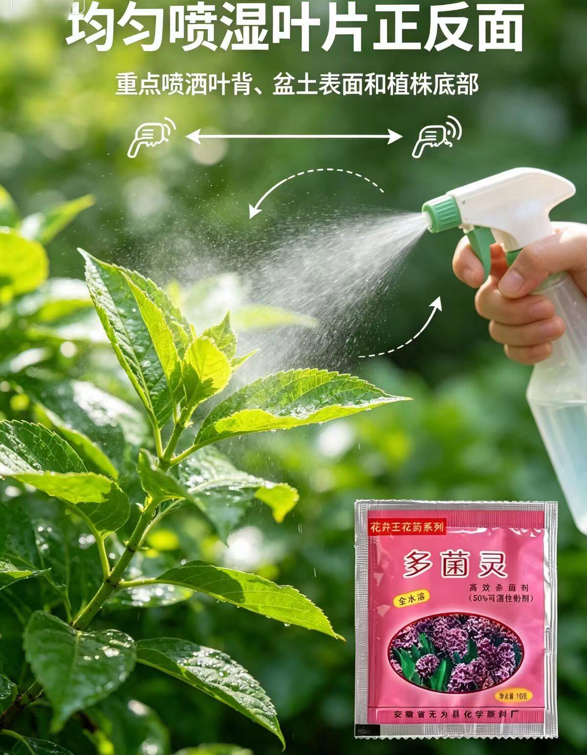 多肉专用肥多菌灵杀菌剂消毒剂生根粉发根通用多肉肥料专用肥