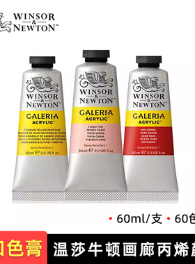 温莎牛顿画廊丙烯颜料管装60ml手绘墙绘画初学者DIY艺术彩绘颜料