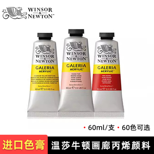 温莎牛顿画廊丙烯颜料管装60ml手绘墙绘画初学者DIY艺术彩绘颜料