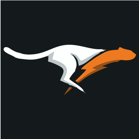 闪电豹加速器/英雄联盟韩服/LOL韩/Valorant韩/瓦罗兰特韩服