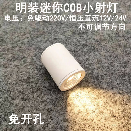 220V12V24V明装吸顶迷你小射灯