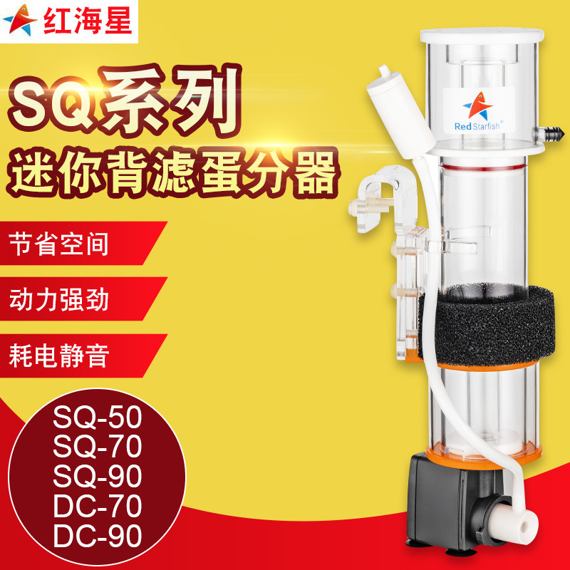 红海星背滤蛋分 红海星SQ50SQDC70珊瑚缸蛋白分离器海缸迷你蛋分