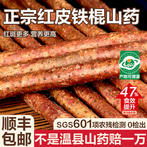 正宗温县红皮乌鸡土铁棍山药5斤