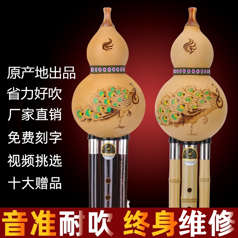 孔雀河葫芦丝课堂教学型团购优惠