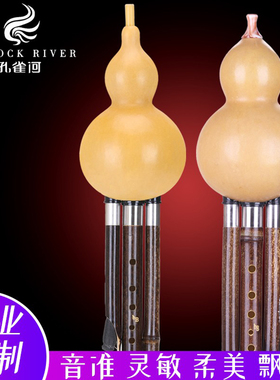 孔雀河葫芦丝乐器C调降B调专业演奏型成人紫竹小DGF调品牌旗舰店