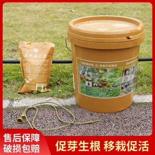 国光树木营养液吊针袋输液袋果树桂花树移栽通用生根剂大树营养液