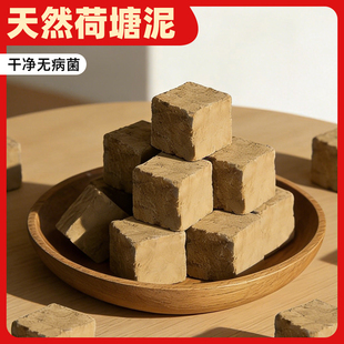 只发广东-优质塘泥总汇 栽培基质大颗粒鱼塘泥块小颗粒花泥种植土