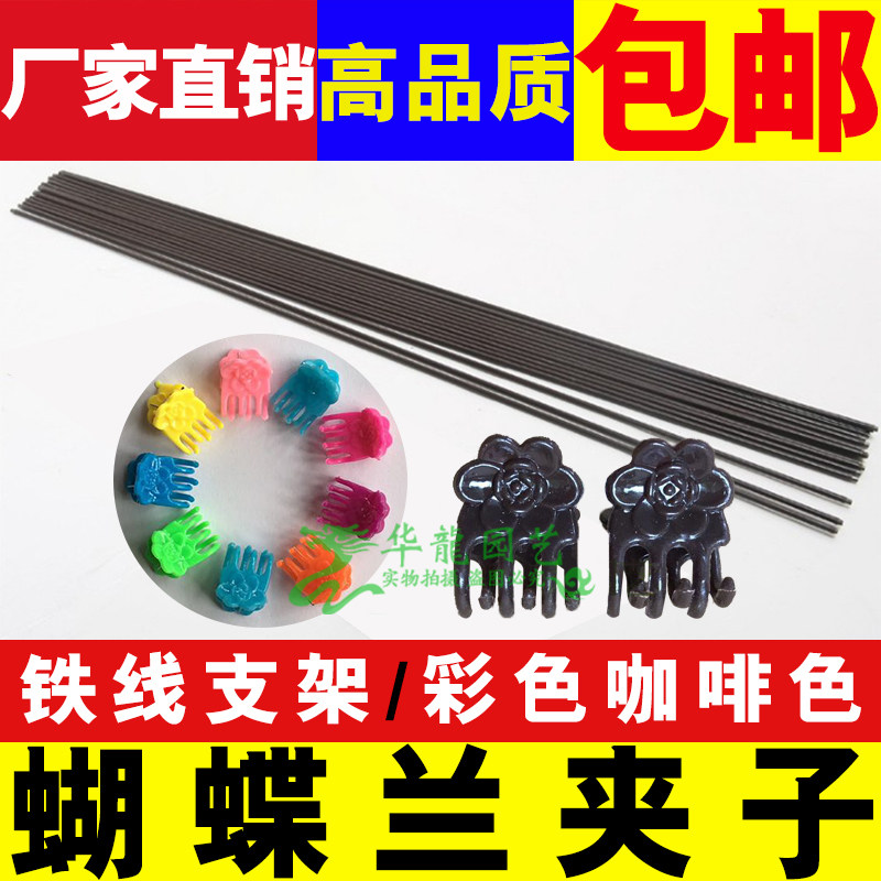 蝴蝶兰夹子铁线蝴蝶兰专用夹子兰花固定杆造型支架植物兰花夹子