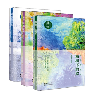 席慕容散文全集3册槭树下的家 前尘 昨夜 此刻 透明的哀伤 正版现货席慕蓉著诗集散文学生阅读散文随笔诗集推荐黑暗的河流上文学