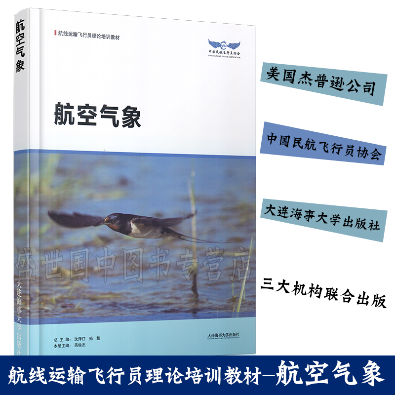 现货正版/航空气象/航线运输飞行员理论培训教材/沈泽江/中国民航飞行员协会/飞行技术专业系列教材/航空航天飞行员学习书