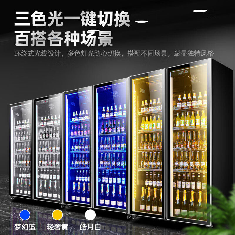 立式冷柜网酒吧冰箱展示柜