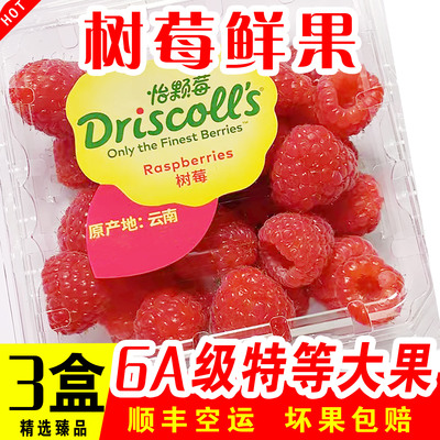 现货怡颗莓红树莓新鲜孕妇水果