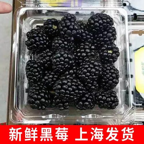 新鲜到货怡颗莓黑树莓2盒装