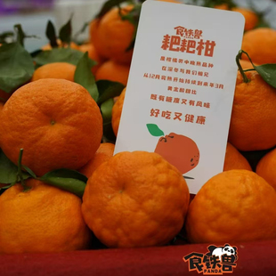 新货大雅柑春见粑粑柑原箱礼盒7斤当季新鲜水果小箱礼盒顺丰包邮