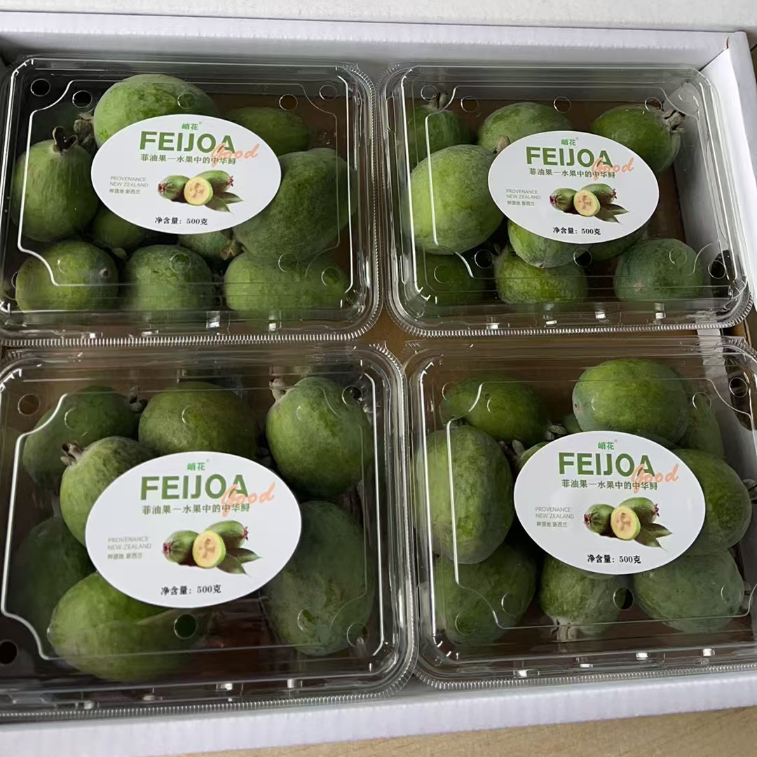 菲油果新鲜水果斐济果叶酸丰富营养新奇小众水果菲油果顺丰包邮