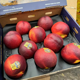 正宗澳洲油桃整箱黄肉油桃原箱礼盒新鲜金腰带黄金桃当季桃子顺