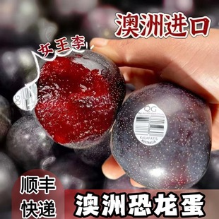 【澳洲进口】恐龙蛋胭脂女王李当季新鲜水果血丝李红肉红心李子