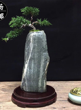 天然鹅卵石花盆创意水培多肉菖蒲