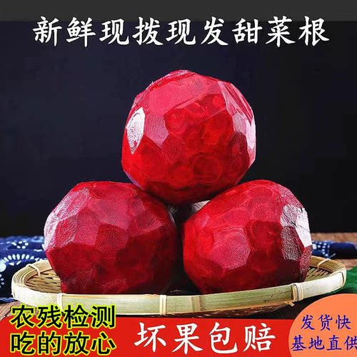 2026年新鲜红甜菜根现拔红菜头紫菜头红甜菜头酵素农残合格