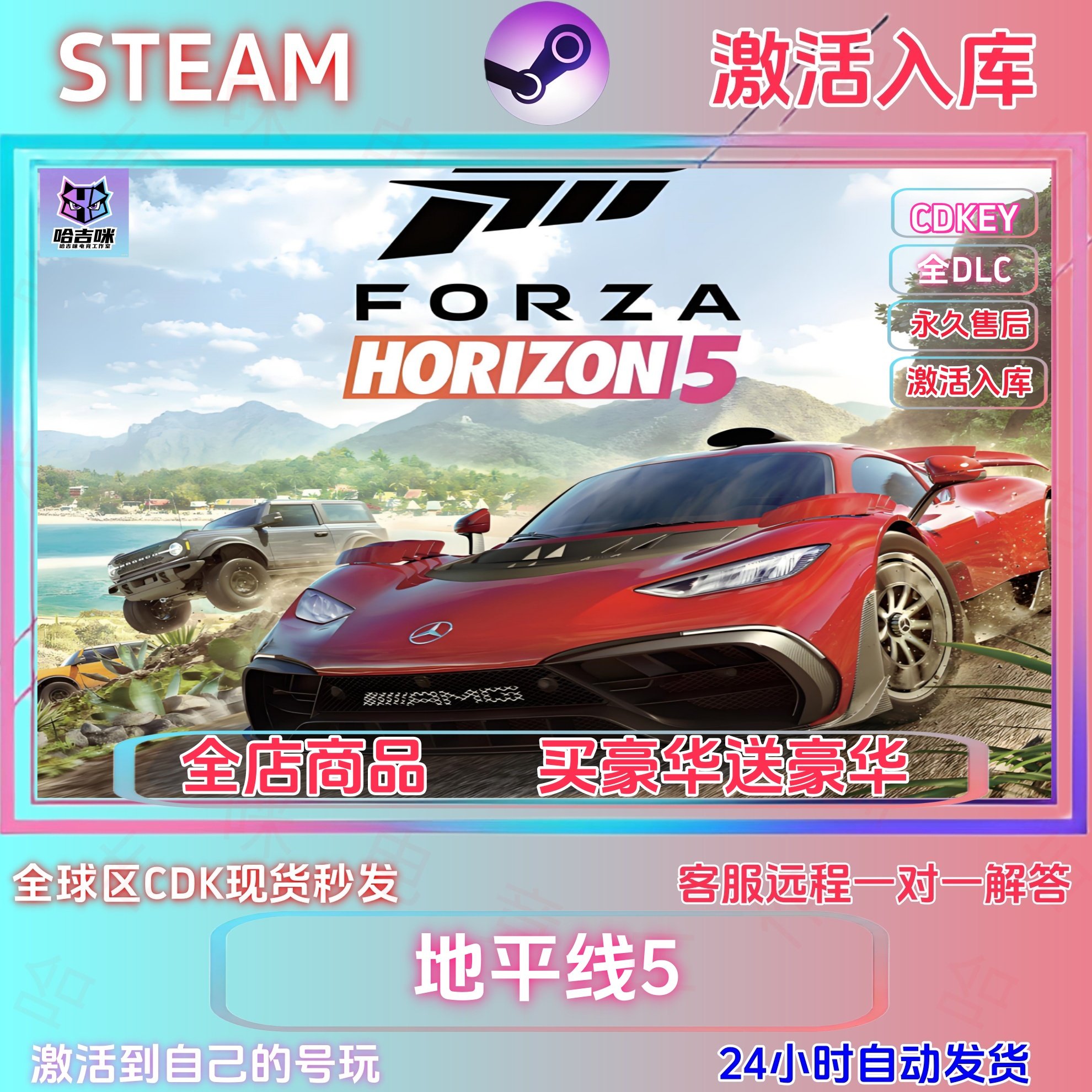 stem游戏极限竞速地平线激活码