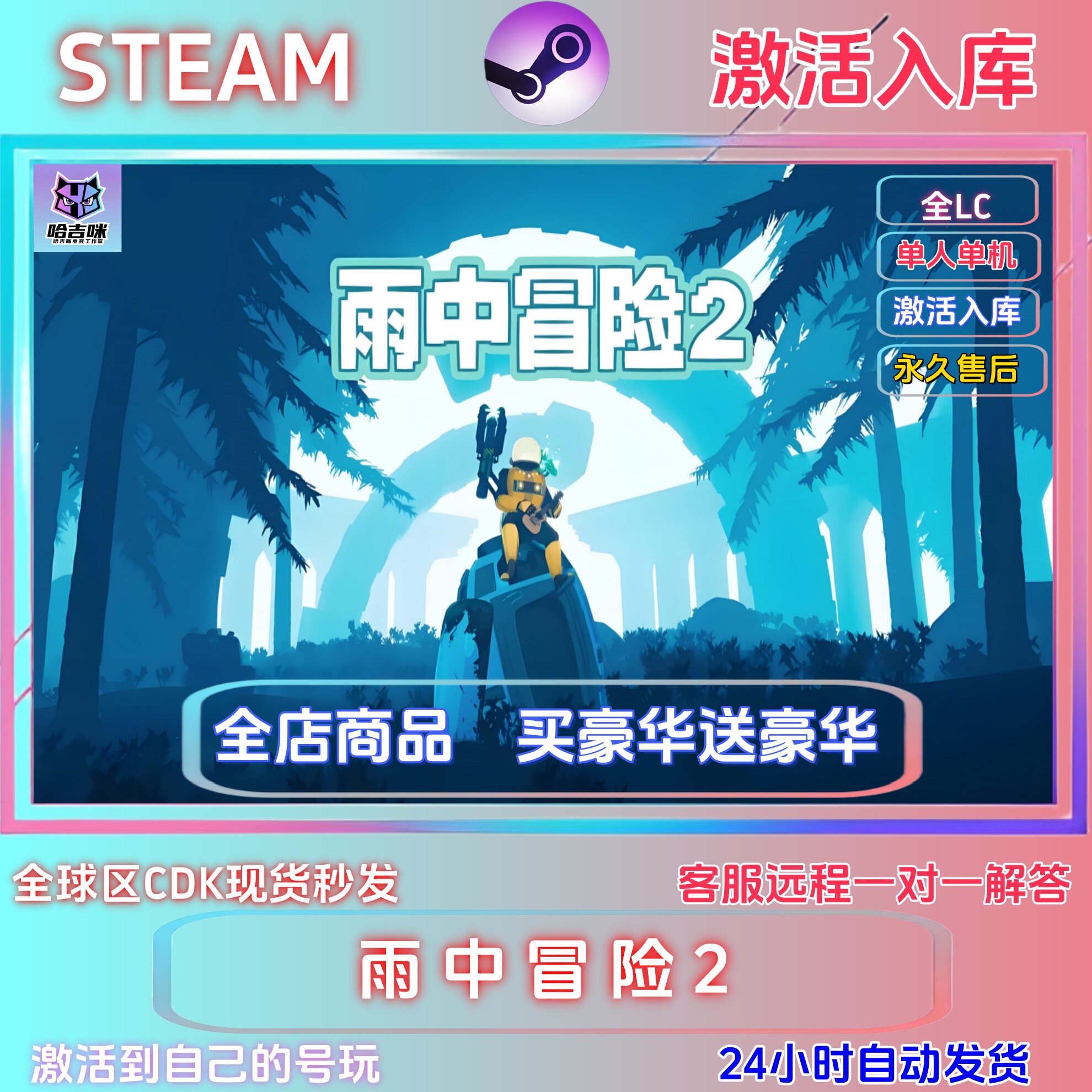steam游戏雨中冒险激活码