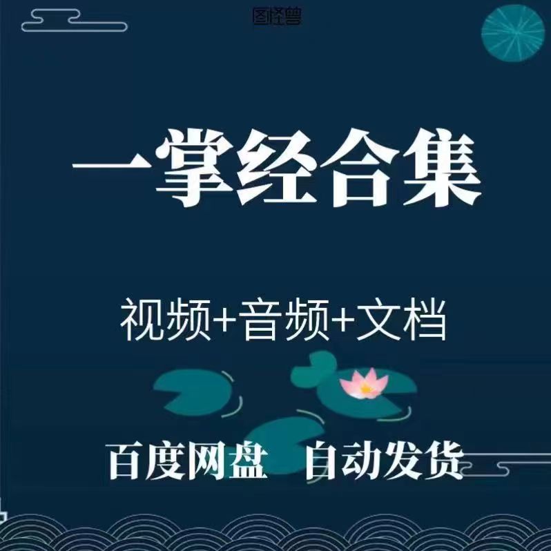 达摩一掌经视频文档资料合集