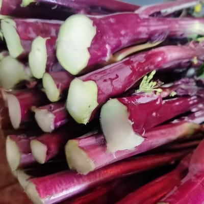 洪山菜苔金殿御菜肠道守护神