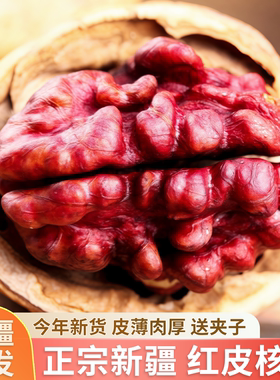 新疆红皮核桃2026新货大颗粒