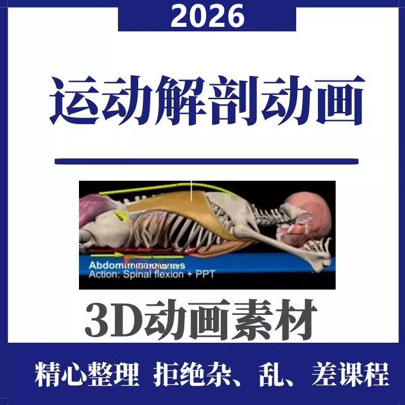 医学运动肌肉解剖3D动画素材健身动作器械训练瑜伽肌肉短视频三维图片