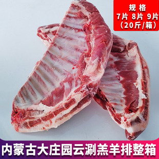 羔羊羊排20斤整箱大庄园内蒙古羊排半排生鲜冷冻烧烤羔羊肋排商用