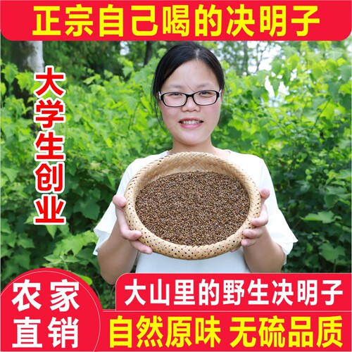 深山野生决明子茶农家晒干草决明