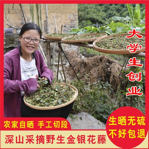 野生金银花藤忍冬藤杠板归千里光