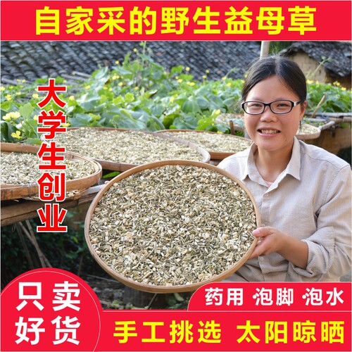 农家野生益母草干中药材泡水泡脚