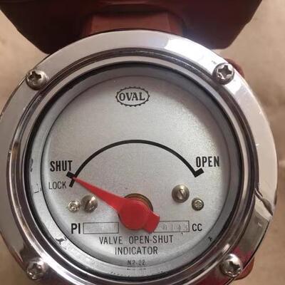 OVAL PI45B10 814.3CC 流量计