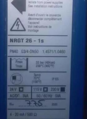 GESTRA NRGT 26-1S 液位探头