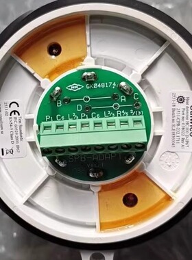 HC100 A2 IP67 探头