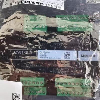 CI.20-ISO SAM 810.005.030-05 WARTSILA瓦锡兰 模块
