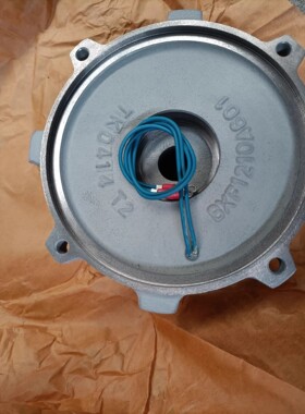 费斯托 EGC-185-1450-BS-40P-KF-0H-MR-GK 电缸