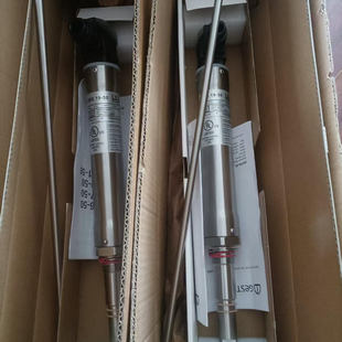 锅炉水位电极 GESTRA NRG