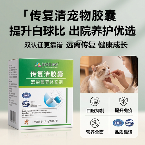 宠物猫咪传腹专用营养支持