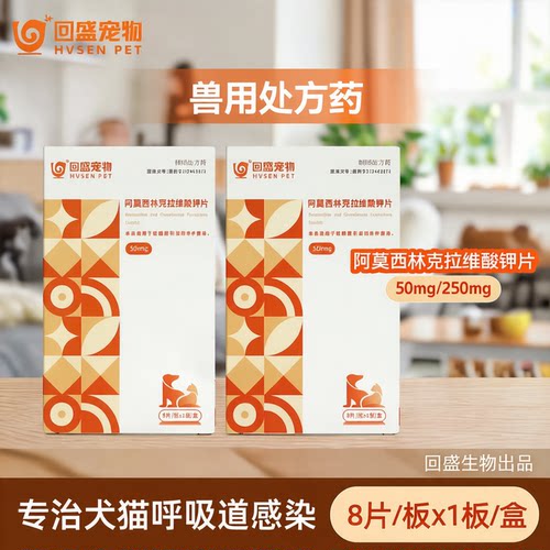 回盛阿莫西林克拉维酸钾猫鼻支