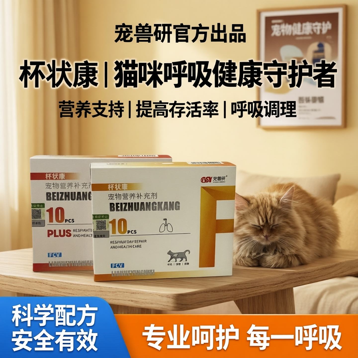 宠兽研杯状康宠物猫咪专用杯状问题营养支持维持提高存活率与健康