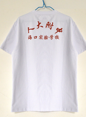 夏季人大附中海口实验学校校服圆领短袖背心T恤纯棉速干薄款