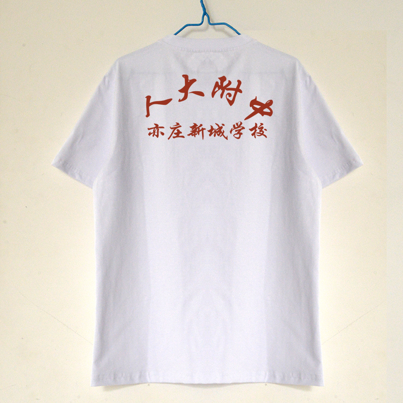 夏季人大附中亦庄新城学校校服圆领短袖背心T恤纯棉速干薄款