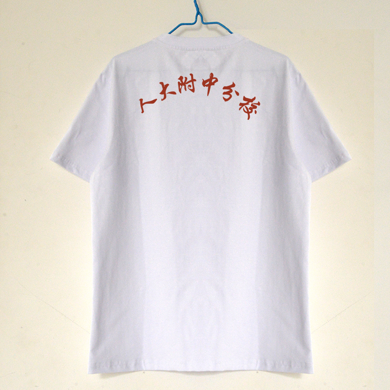 北京校服人大附中分校夏季圆领短袖t恤 男女学生 中性速干薄款F