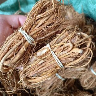 野生五指毛桃中药材新鲜牛奶根土茯苓正品莫氏鸡煲汤料同款三伏天