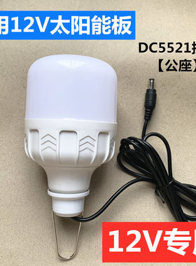 12V专用LED灯泡DC5521接头太阳能光伏板发电系统12伏太阳能板灯